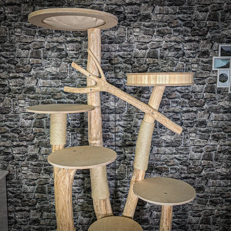Naturkratzbaum 2824 Kratzbaum Natur Holz Design 204 cm hoch Katzenbaum