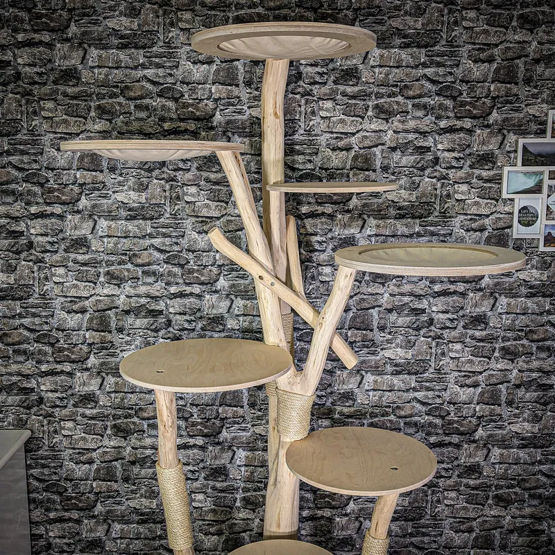 Naturkratzbaum 225 cm hoch Kratzbaum Natur Holz Design 2821 Katzenbaum