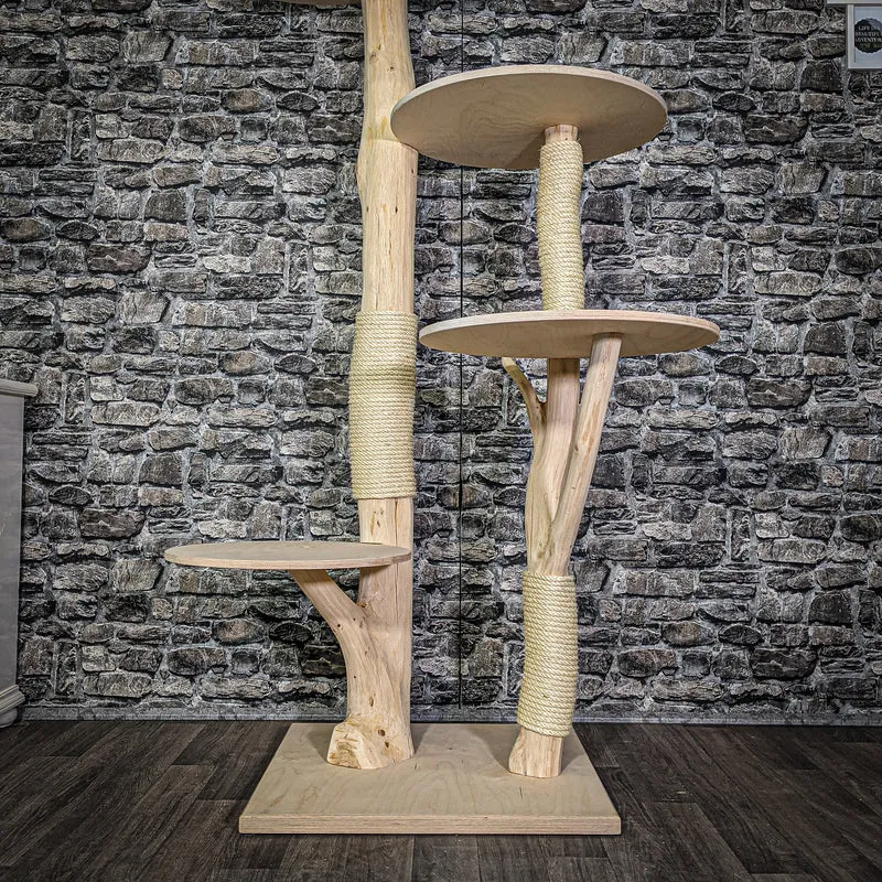 Naturkratzbaum 170 cm hoch Kratzbaum Natur Holz Design 2820 Katzenbaum