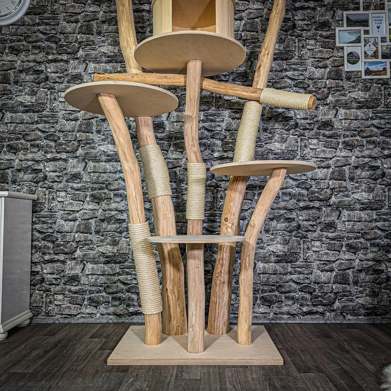 Naturkratzbaum 206 cm hoch Kratzbaum Natur Holz Design 2817 Katzenbaum