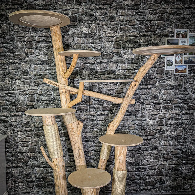 Naturkratzbaum 2815 Kratzbaum Natur Holz Design 224 cm hoch Katzenbaum