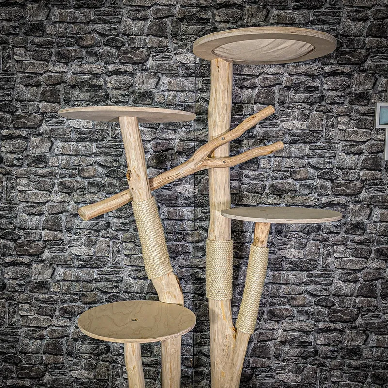 Naturkratzbaum 2812 Kratzbaum Natur Holz Design 203 cm hoch Katzenbaum