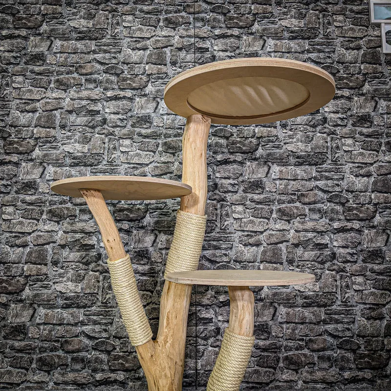 Naturkratzbaum 115 cm hoch Kratzbaum Natur Holz Design 2796 Katzenbaum