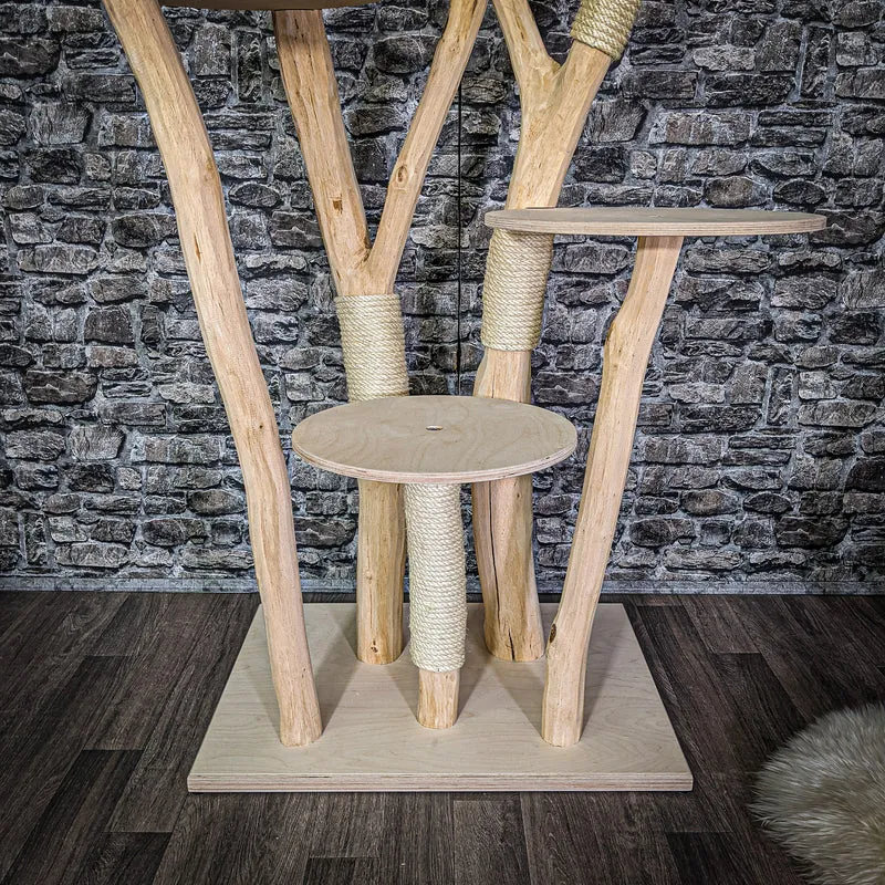 Naturkratzbaum 175 cm hoch Kratzbaum Natur Holz Design 2797 Katzenbaum