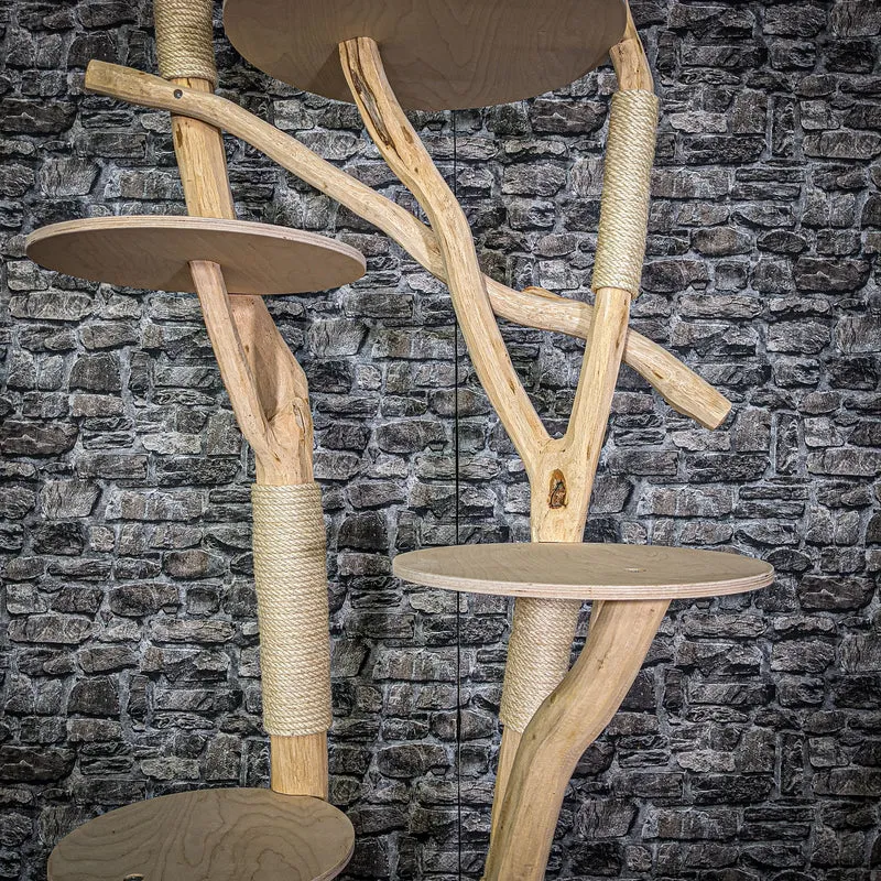 Naturkratzbaum 205 cm hoch Kratzbaum Natur Holz Design 2805 Katzenbaum