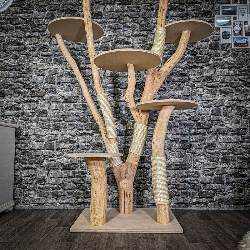 Naturkratzbaum 180 cm hoch Kratzbaum Natur Holz Design 2792 Katzenbaum