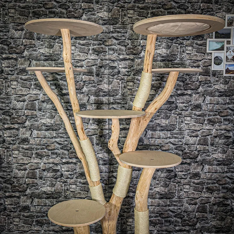 Naturkratzbaum 180 cm hoch Kratzbaum Natur Holz Design 2792 Katzenbaum