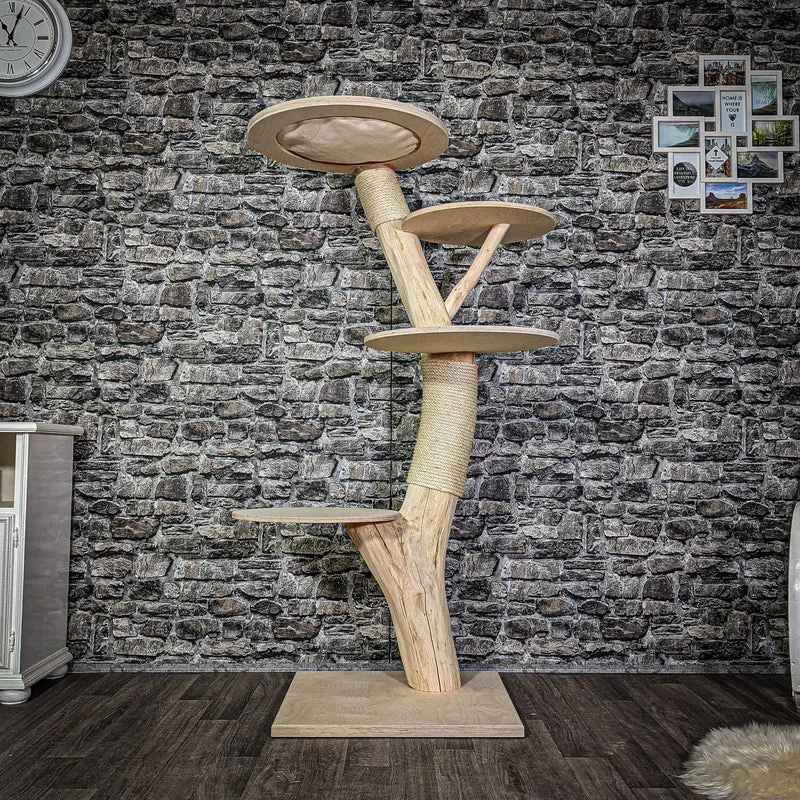 Naturkratzbaum 162 cm hoch Kratzbaum Natur Holz Design 2789 Katzenbaum