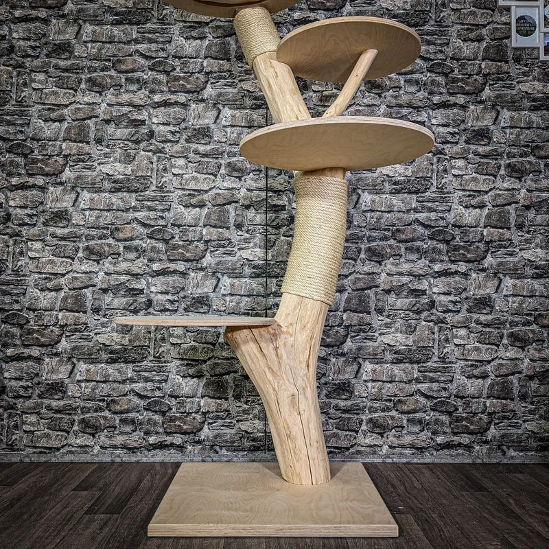 Naturkratzbaum 162 cm hoch Kratzbaum Natur Holz Design 2789 Katzenbaum