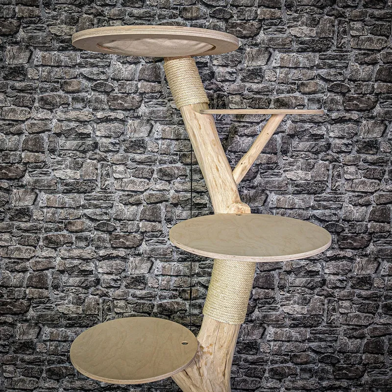 Naturkratzbaum 162 cm hoch Kratzbaum Natur Holz Design 2789 Katzenbaum