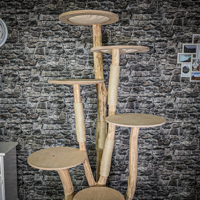 Naturkratzbaum 2944 Kratzbaum Natur Holz Design 216 cm hoch Katzenbaum