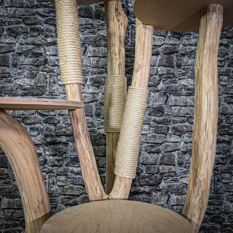 Naturkratzbaum 2944 Kratzbaum Natur Holz Design 216 cm hoch Katzenbaum