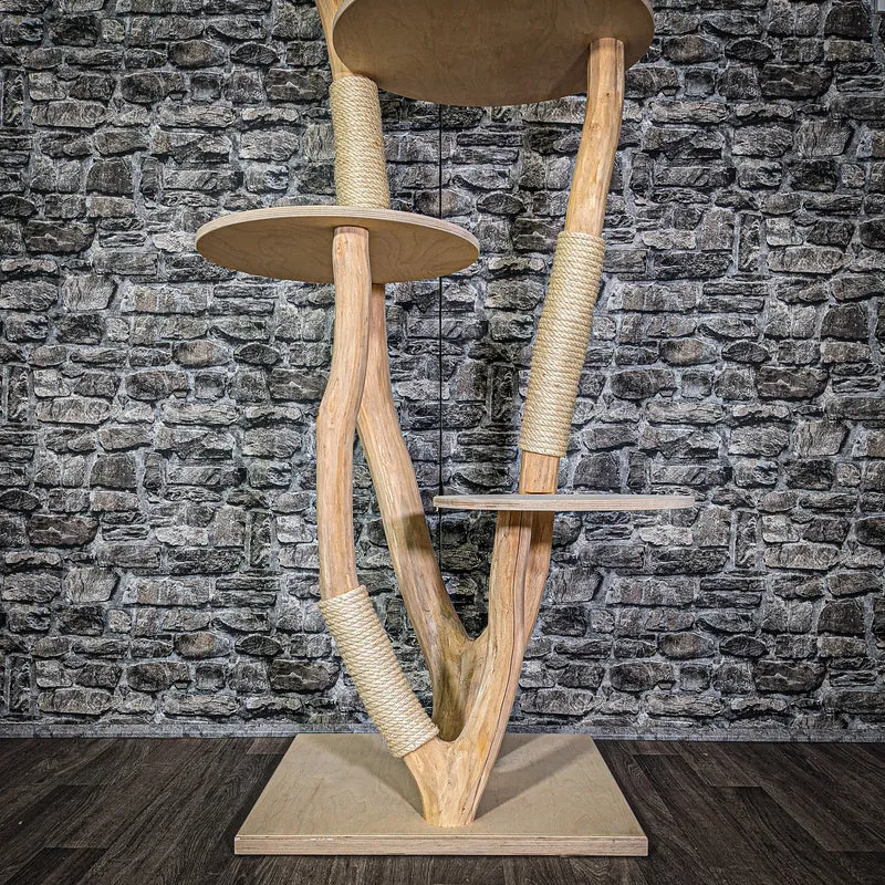 Naturkratzbaum 2941 Kratzbaum Natur Holz Design 170 cm hoch Katzenbaum