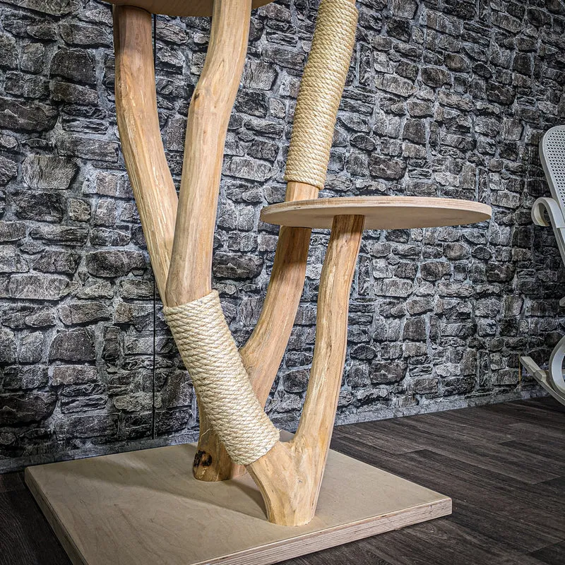 Naturkratzbaum 2941 Kratzbaum Natur Holz Design 170 cm hoch Katzenbaum