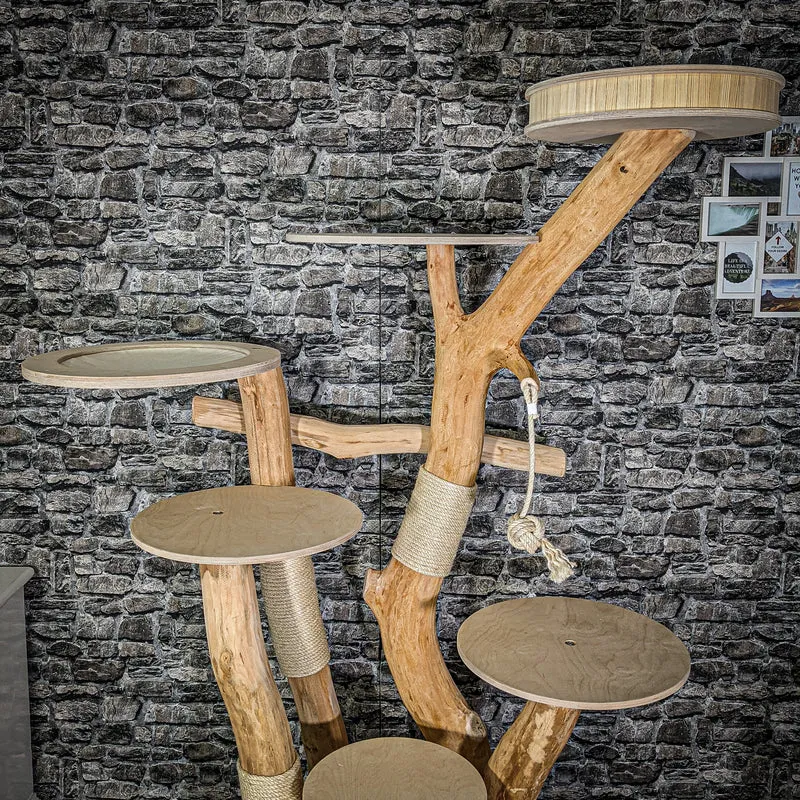 Naturkratzbaum 206 cm hoch Kratzbaum Natur Holz Design 2934 Katzenbaum