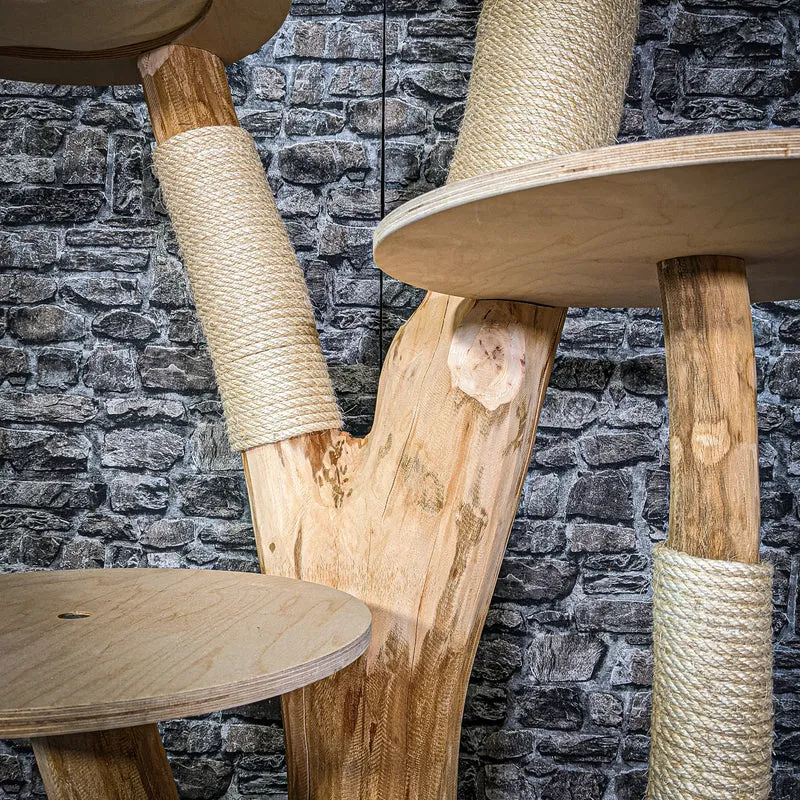 Naturkratzbaum 142 cm hoch Kratzbaum Natur Holz Design 2937 Katzenbaum