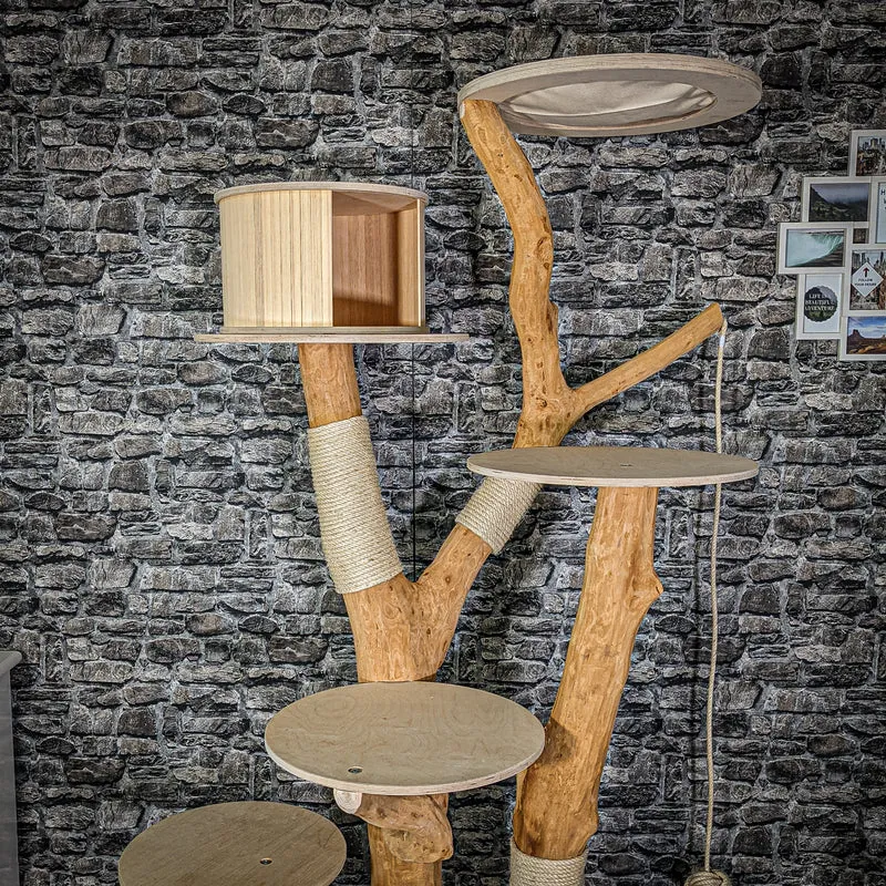 Naturkratzbaum 205 cm hoch Kratzbaum Natur Holz Design 2932 Katzenbaum