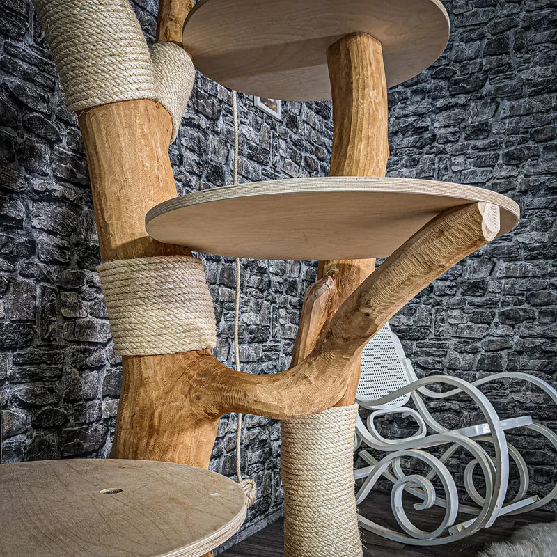 Naturkratzbaum 205 cm hoch Kratzbaum Natur Holz Design 2932 Katzenbaum