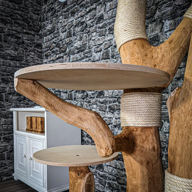 Naturkratzbaum 205 cm hoch Kratzbaum Natur Holz Design 2932 Katzenbaum