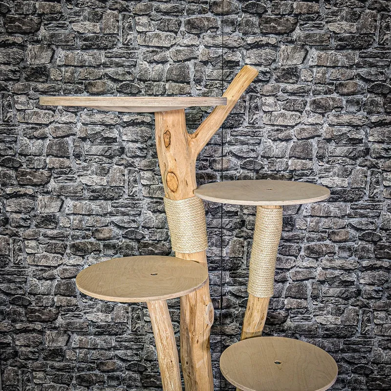 Naturkratzbaum 155 cm hoch Kratzbaum Natur Holz Design 2929 Katzenbaum