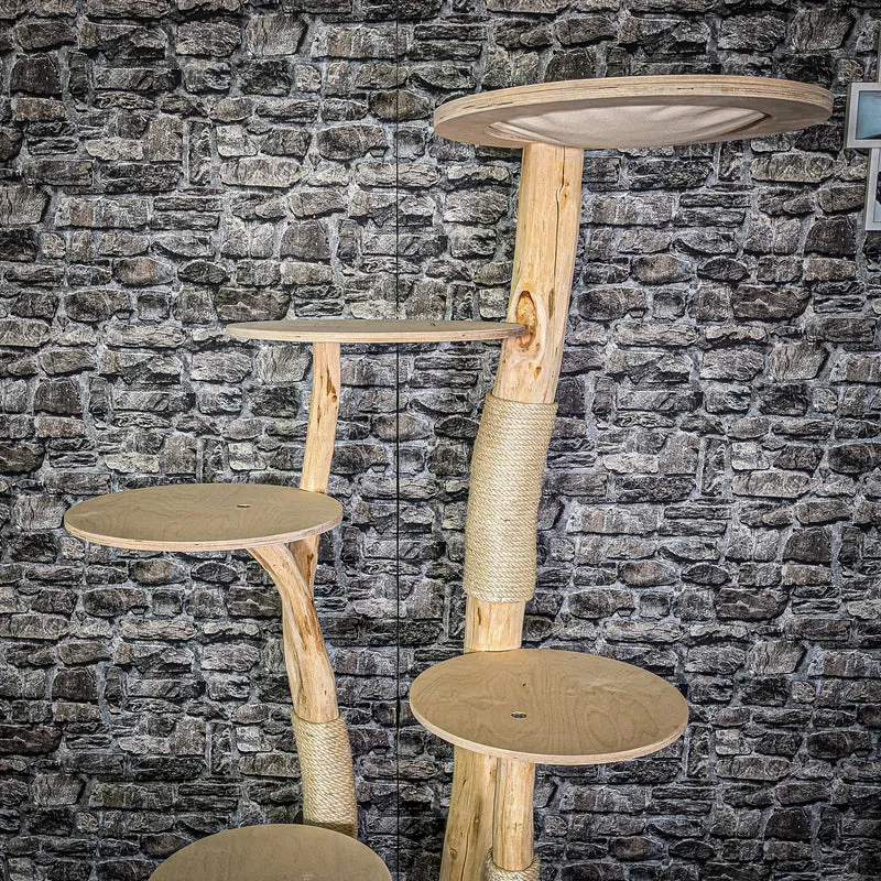 Naturkratzbaum 2927 Kratzbaum Natur Holz Design 172 cm hoch Katzenbaum