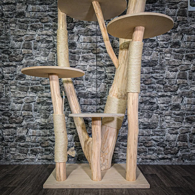 Naturkratzbaum 172 cm hoch Kratzbaum Natur Holz Design 2924 Katzenbaum