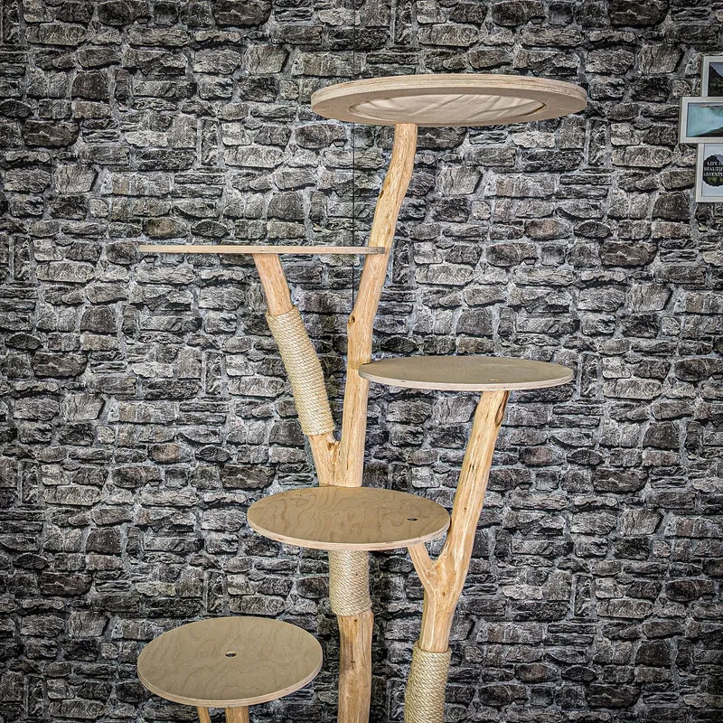 Naturkratzbaum 2919 Kratzbaum Natur Holz Design 175 cm hoch Katzenbaum