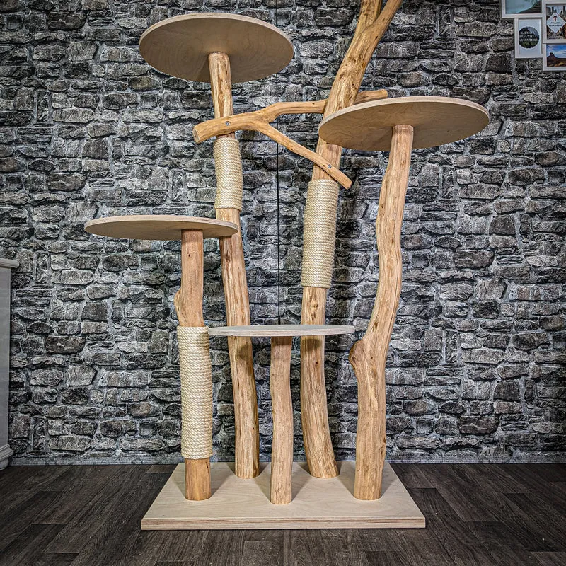 Naturkratzbaum 2916 Kratzbaum Natur Holz Design 176 cm hoch Katzenbaum