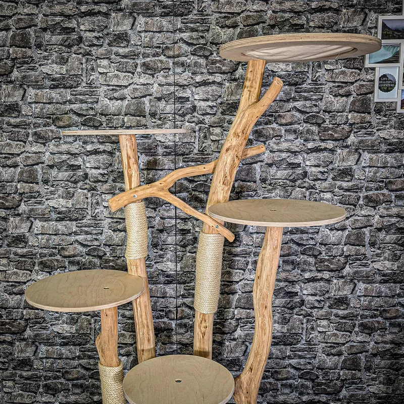 Naturkratzbaum 2916 Kratzbaum Natur Holz Design 176 cm hoch Katzenbaum