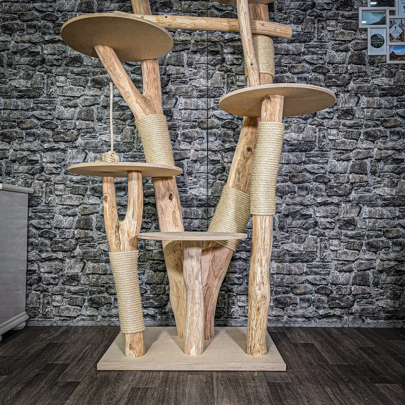 Naturkratzbaum 2906 Kratzbaum Natur Holz Design 233 cm hoch Katzenbaum
