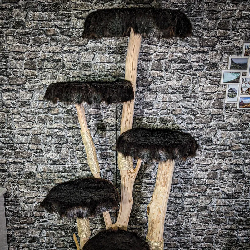 Naturkratzbaum 215 cm hoch Kratzbaum Natur Holz Design 2901 Katzenbaum