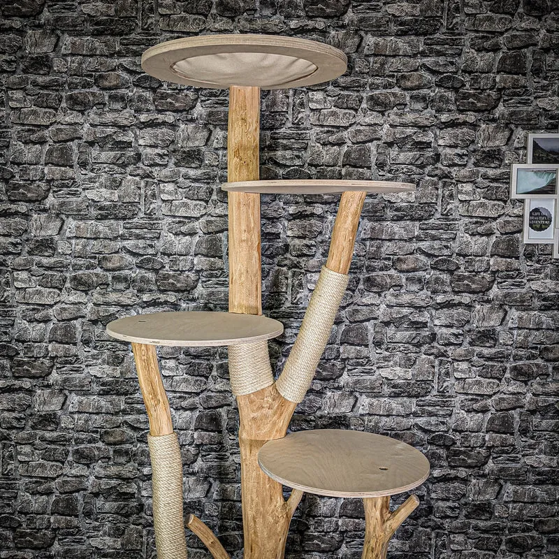 Naturkratzbaum 210 cm hoch Kratzbaum Natur Holz Design 2900 Katzenbaum
