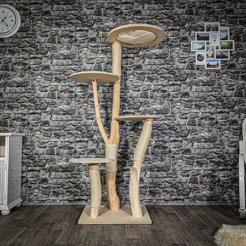 Naturkratzbaum 177 cm hoch Kratzbaum Natur Holz Design 2896 Katzenbaum