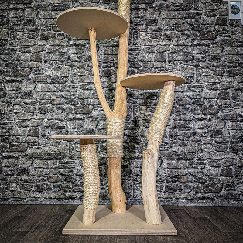 Naturkratzbaum 177 cm hoch Kratzbaum Natur Holz Design 2896 Katzenbaum