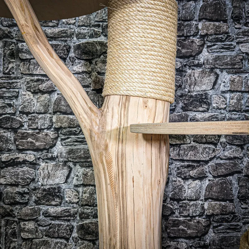 Naturkratzbaum 150 cm hoch Kratzbaum Natur Holz Design 2890 Katzenbaum