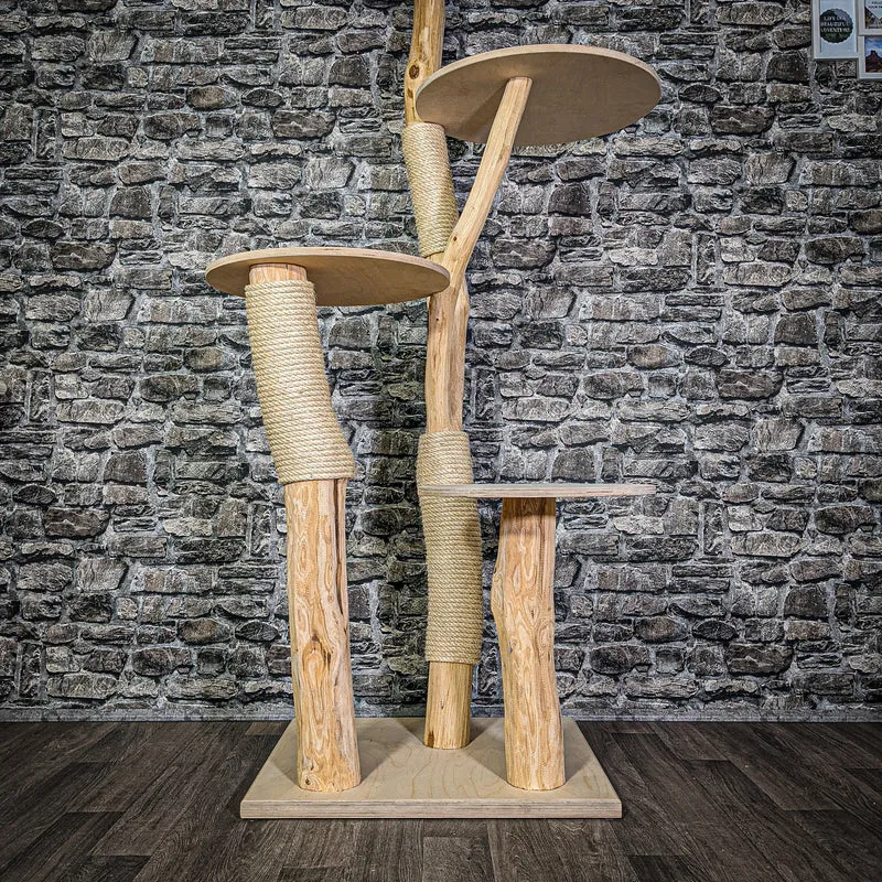 Naturkratzbaum 175 cm hoch Kratzbaum Natur Holz Design 2878 Katzenbaum