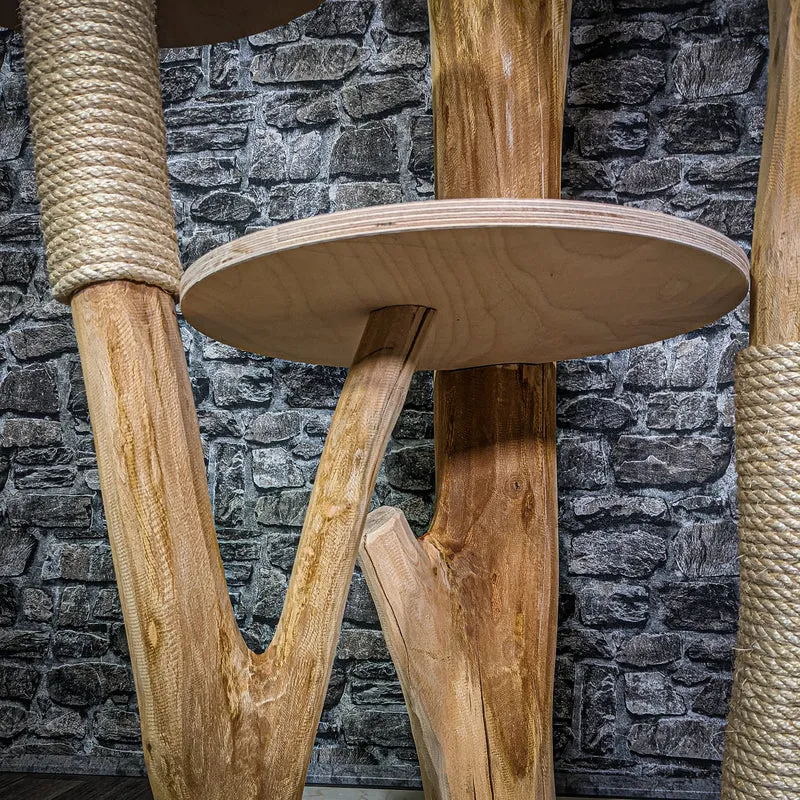 Naturkratzbaum 205 cm hoch Kratzbaum Natur Holz Design 2876 Katzenbaum