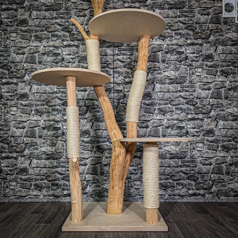 Naturkratzbaum 173 cm hoch Kratzbaum Natur Holz Design 2836 Katzenbaum