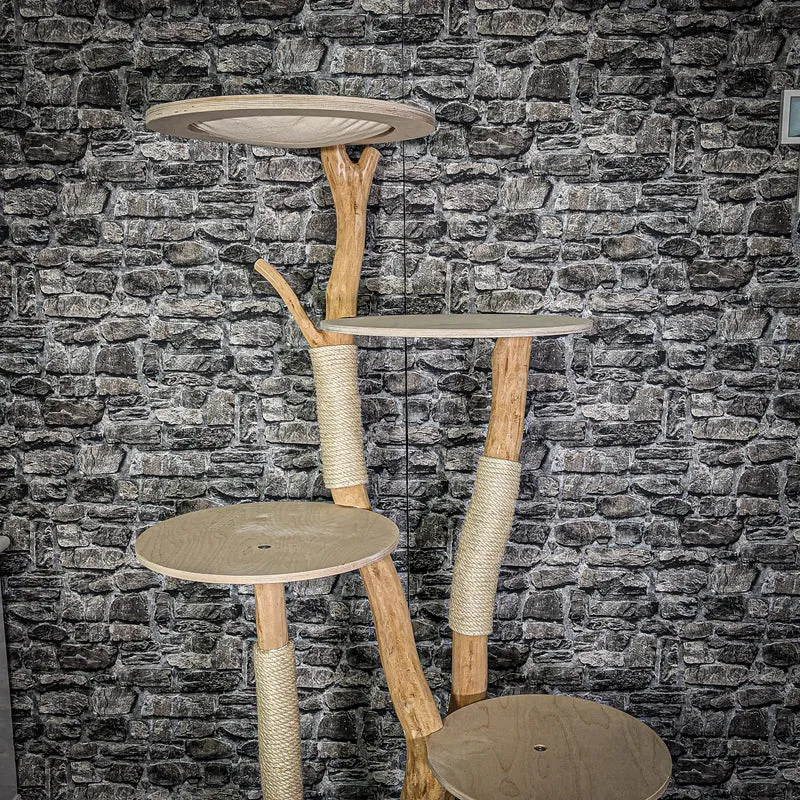 Naturkratzbaum 173 cm hoch Kratzbaum Natur Holz Design 2836 Katzenbaum