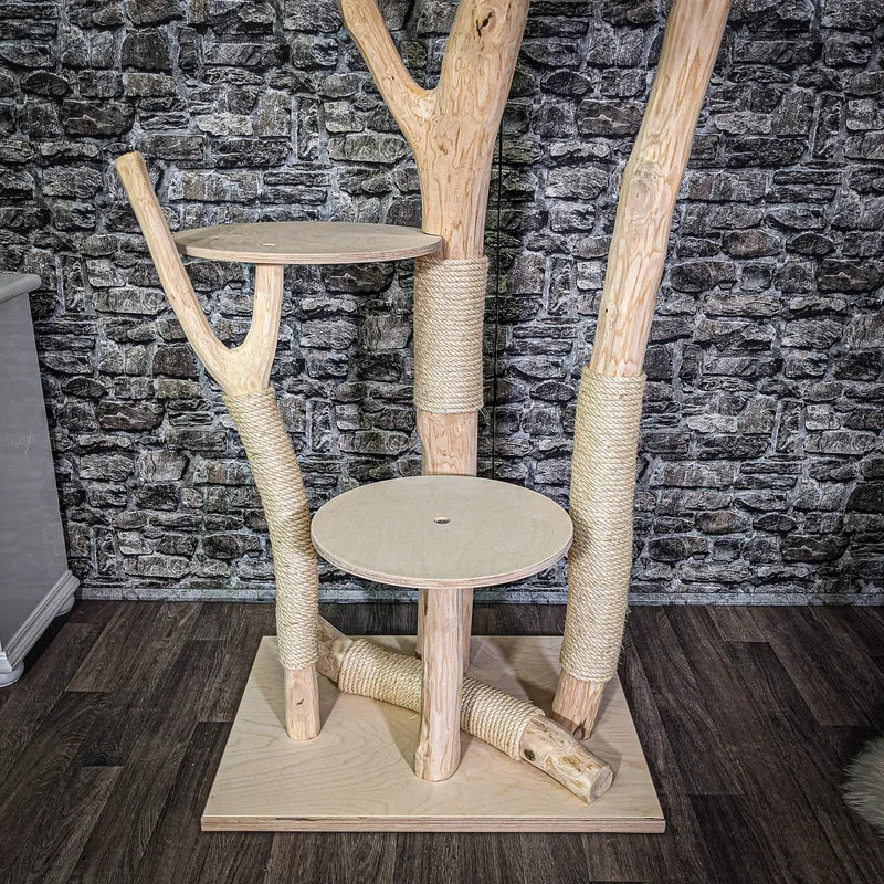 Naturkratzbaum 200 cm hoch Kratzbaum Natur Holz Design 2643 Katzenbaum