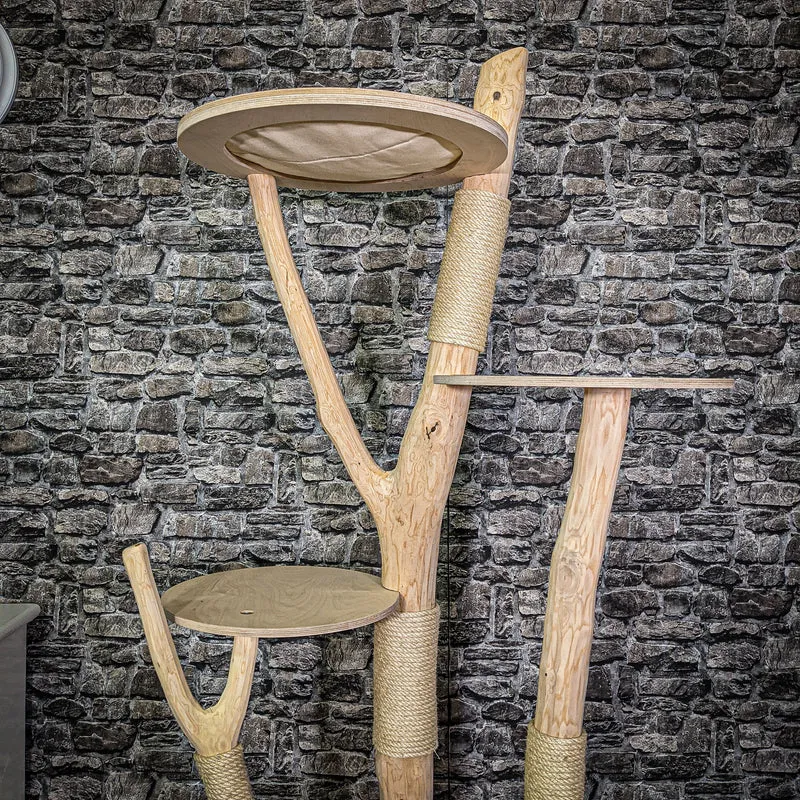 Naturkratzbaum 200 cm hoch Kratzbaum Natur Holz Design 2643 Katzenbaum
