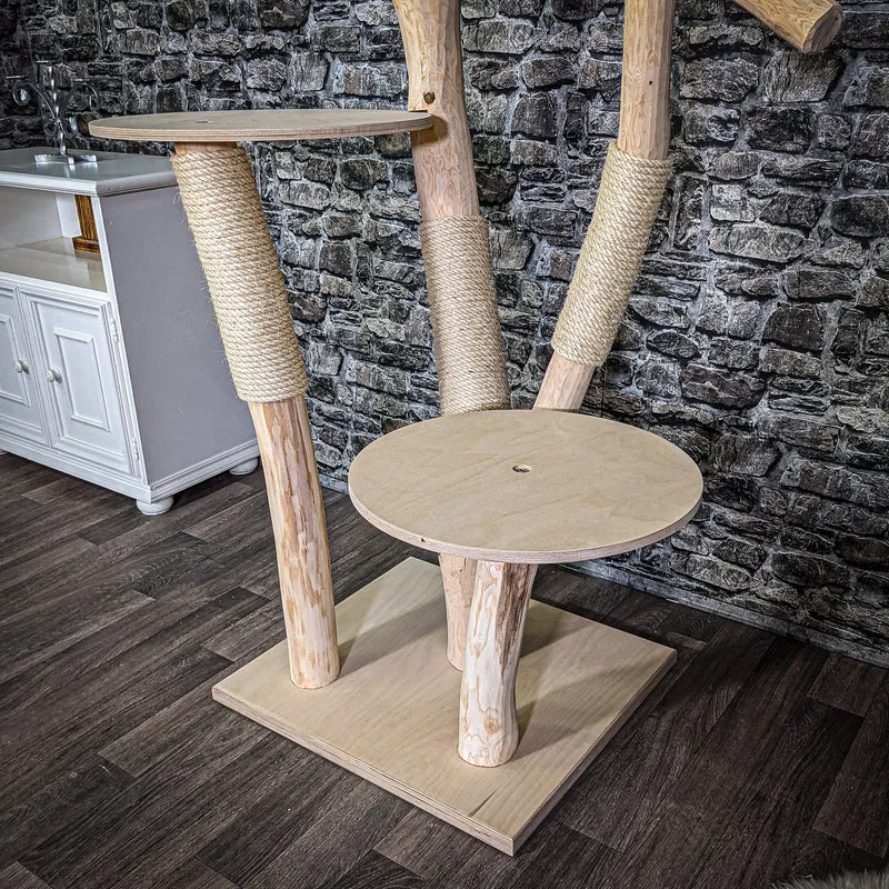 Naturkratzbaum 170 cm hoch Kratzbaum Natur Holz Design 2642 Katzenbaum