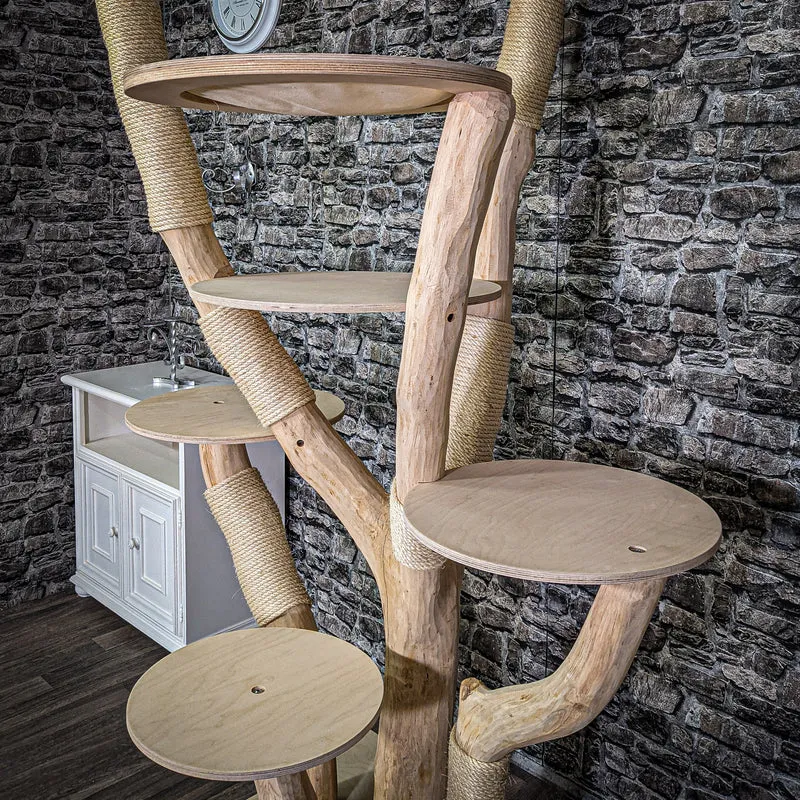 Naturkratzbaum 220 cm hoch Kratzbaum Natur Holz Design 2638 Katzenbaum