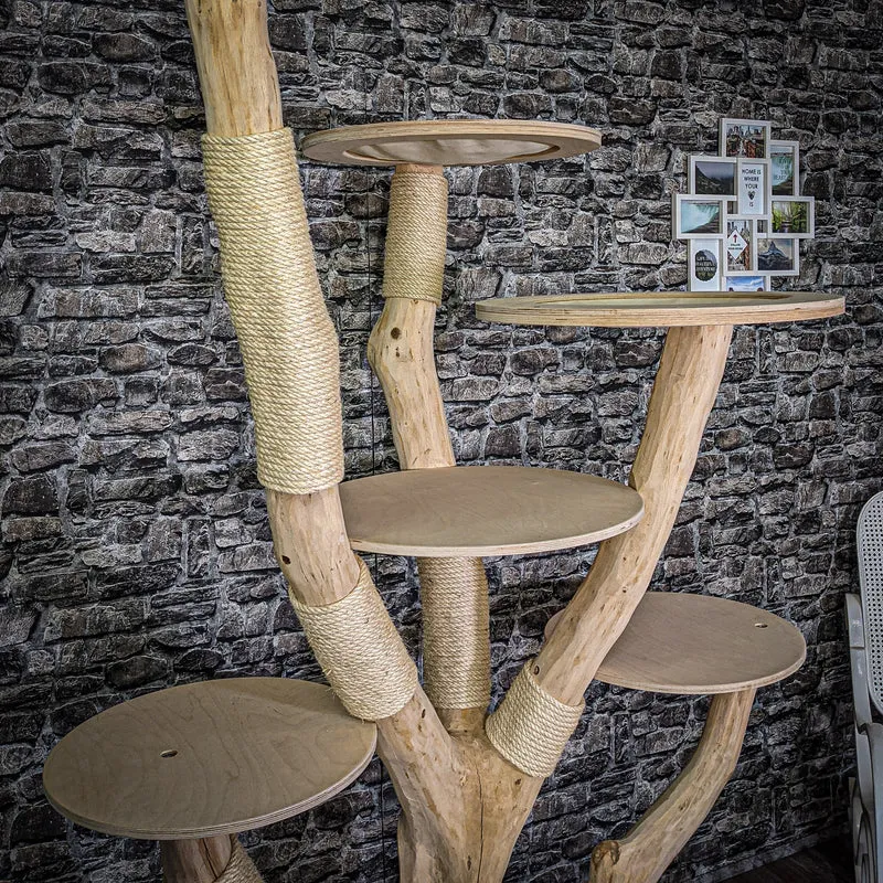 Naturkratzbaum 220 cm hoch Kratzbaum Natur Holz Design 2638 Katzenbaum