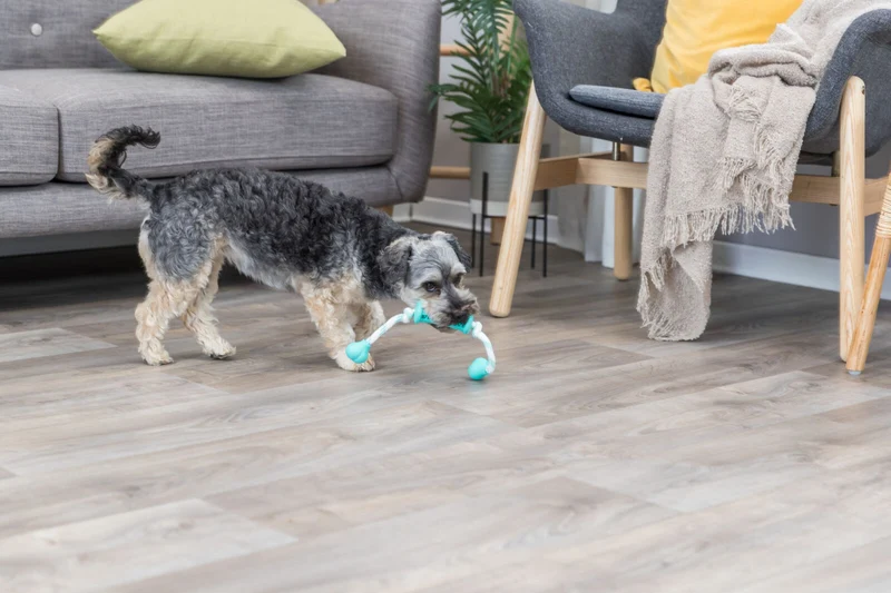 Denta Fun Stick mit Seil