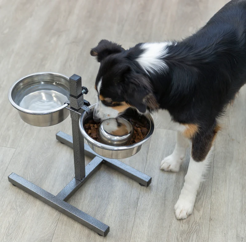 Hundebar, Metall/Edelstahl