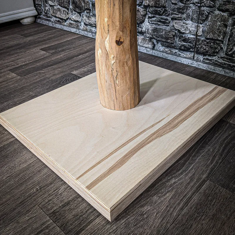 Kratzstamm 80 cm hoch Natur Holz Design Kratzbaum 2606 Naturkratzbaum
