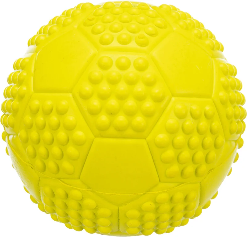 Sportball Hundespielzeug