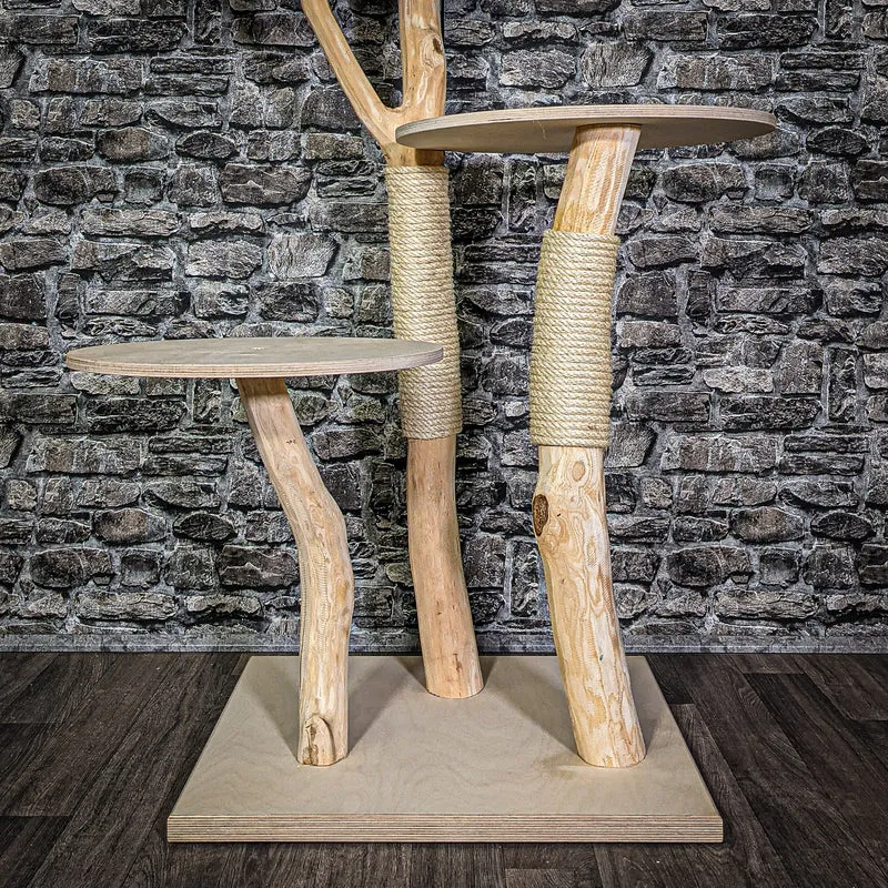 Naturkratzbaum 146 cm hoch Kratzbaum Natur Holz Design 2684 Katzenbaum