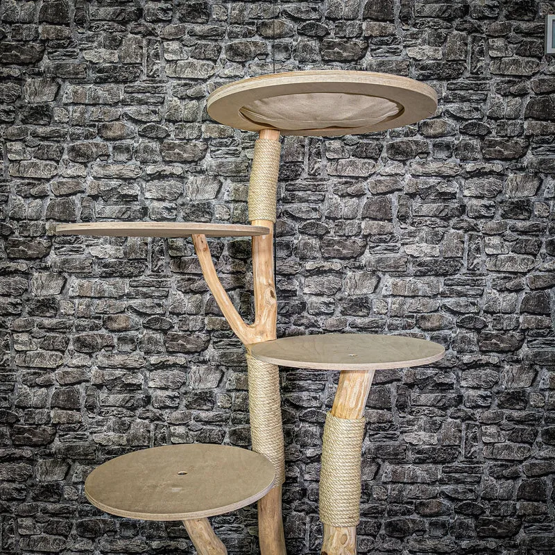 Naturkratzbaum 146 cm hoch Kratzbaum Natur Holz Design 2684 Katzenbaum